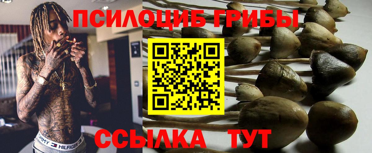 Галлюциногенные грибы прущие грибы  Вход с VPN  Псилоцибиновые грибы Psilocybine cubensis  Краснознаменск 